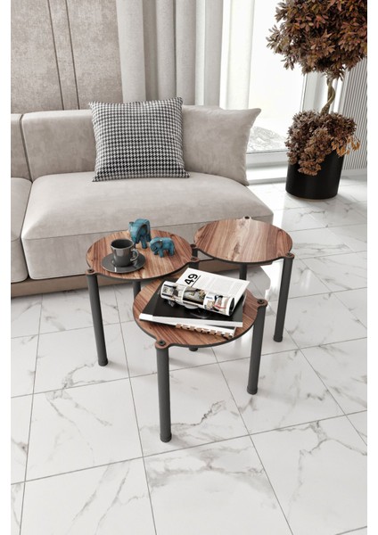 La Via Ceviz Yuvarlak Zigon 3 Lü fiyatları