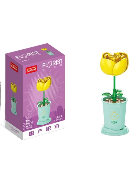 Çocukların Bulmaca Oyuncakları ve Evdeki Dekorasyonlar Için Blok Çiçek Toplantıs I Inşa Etmek (Yurt Dışından)