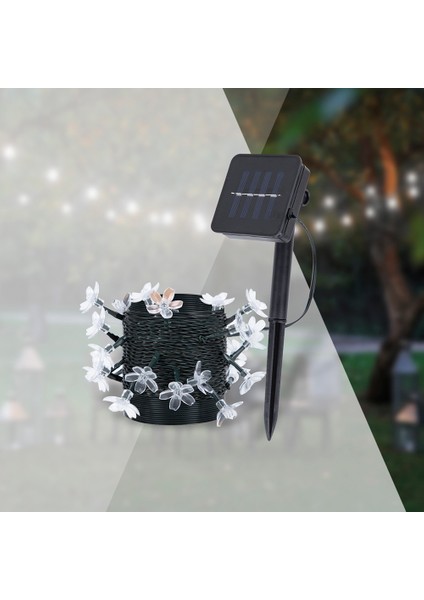 Solar LED Zincir