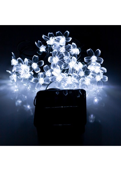 Solar LED Zincir