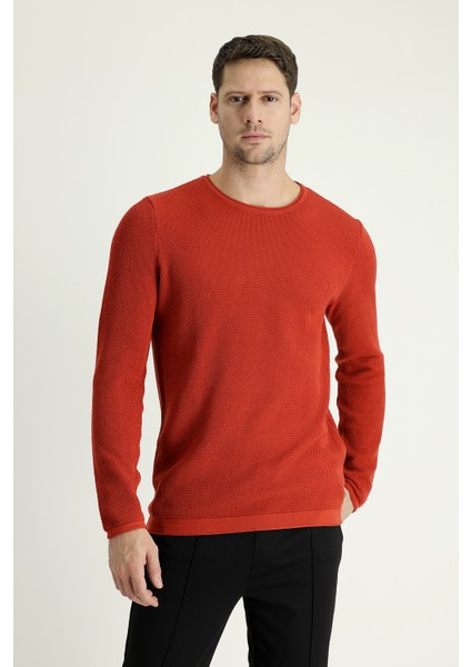Bisiklet Yaka Slim Fit Dar Kesim Desenli Pamuklu Triko Kazak