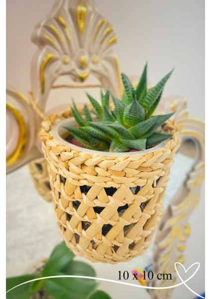 Dekoratif Çok Amaçlı Doğal El Yapımı Hasır Saksı Sepet / 10 x 10 cm fırsatları