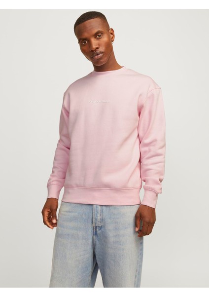 Jorvesterbro Sweat Crew Neck Noos 12241694 fiyatları