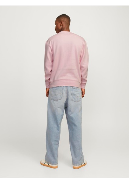 Jorvesterbro Sweat Crew Neck Noos 12241694 modelleri