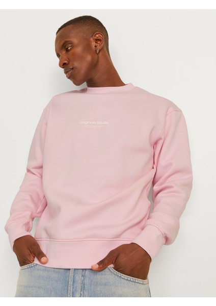 Jorvesterbro Sweat Crew Neck Noos 12241694 fırsatları