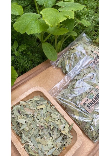 Sinameki (Yaprak) 50 gr fiyatları