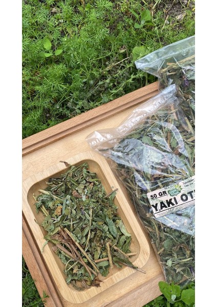 Yakı Otu 50 gr fiyatları