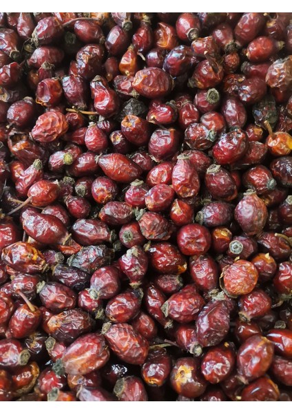 Kuşburnu 100 gr modelleri