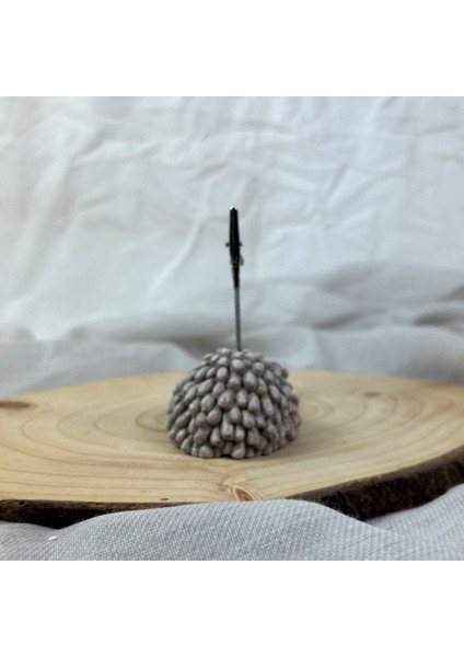 Vizon Eskitme Kuzu Not Tutucu modelleri