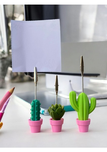 3 Model Pembe Saksılı Kaktüs Fotoğraf Not Tutacak Seti Ofis Masası Hediyelik Tutucu