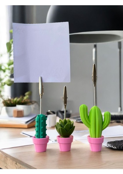 3 Model Pembe Saksılı Kaktüs Fotoğraf Not Tutacak Seti Ofis Masası Hediyelik Tutucu modelleri
