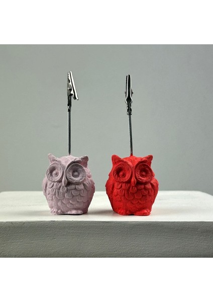 Baykuş Not Tutucu 2'li Set (Pembe - Mercan)