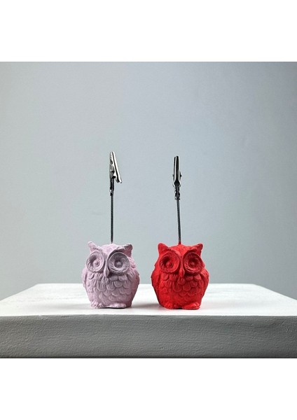 Baykuş Not Tutucu 2'li Set (Pembe - Mercan) fiyatları