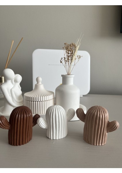 Dekoratif 3’lü Kaktüs Biblo Seti