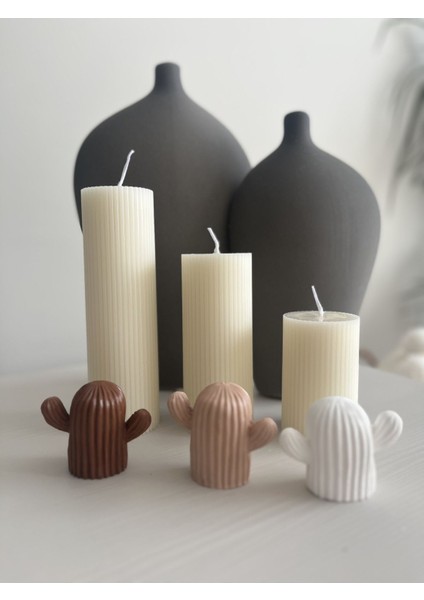 Dekoratif 3’lü Kaktüs Biblo Seti fiyatları