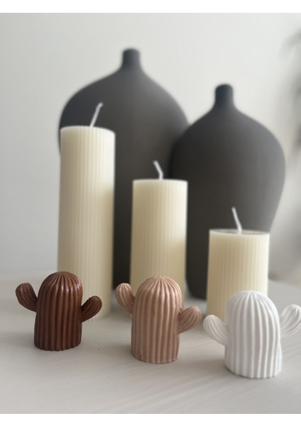 Dekoratif 3’lü Kaktüs Biblo Seti modelleri