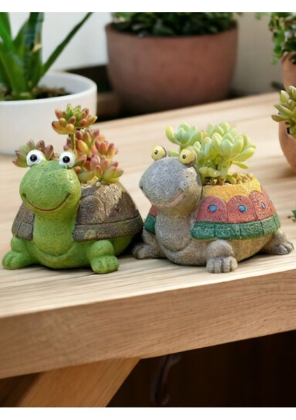 Dekoratif 2li Kaplumbağa Saksı Sukulent