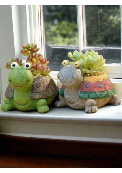 Dekoratif 2li Kaplumbağa Saksı Sukulent fiyatları