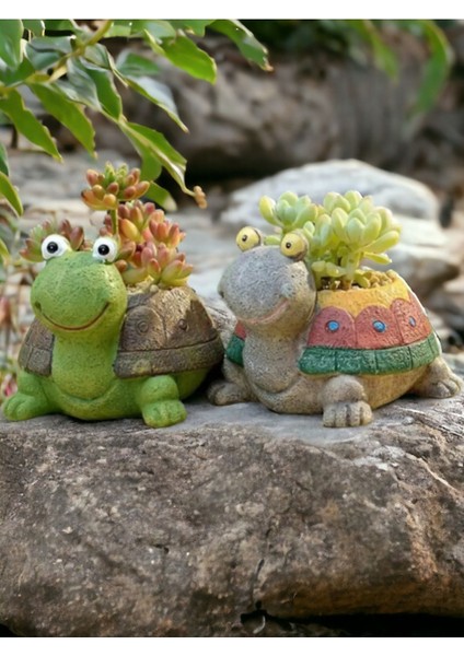 Dekoratif 2li Kaplumbağa Saksı Sukulent modelleri
