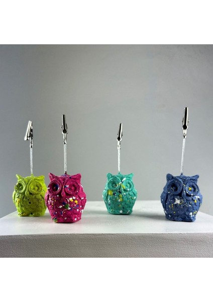 Fuşya Buz Yeşili Gri Mavi Baykuş 4'lü Not Tutucu Set