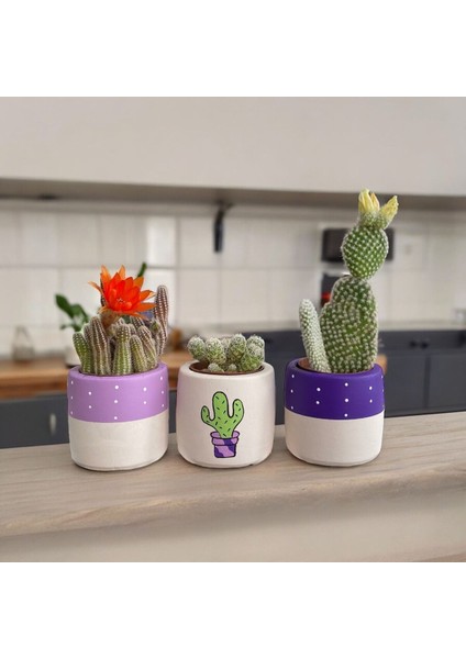 Çiçekli Mor Lila El Çizimi Tatlı Kaktüs - Sukulent Hediyelik Saksı Seti fiyatları