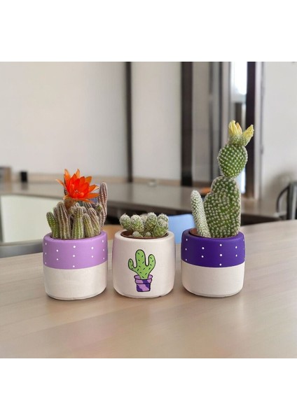 Çiçekli Mor Lila El Çizimi Tatlı Kaktüs - Sukulent Hediyelik Saksı Seti modelleri