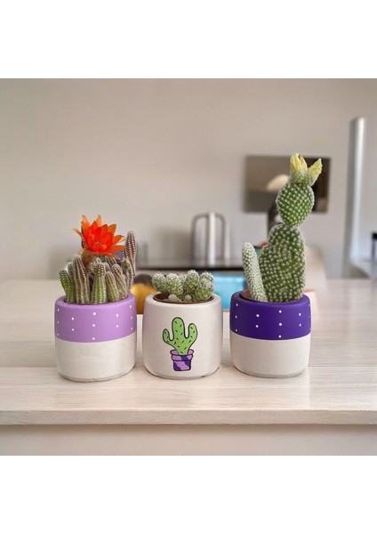 Çiçekli Mor Lila El Çizimi Tatlı Kaktüs - Sukulent Hediyelik Saksı Seti fırsatları