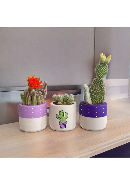 Çiçekli Mor Lila El Çizimi Tatlı Kaktüs - Sukulent Hediyelik Saksı Seti indirimleri