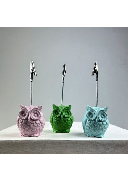 Baykuş Not Tutucu 3'lü Set (Pembe - Nane - Yeşil)