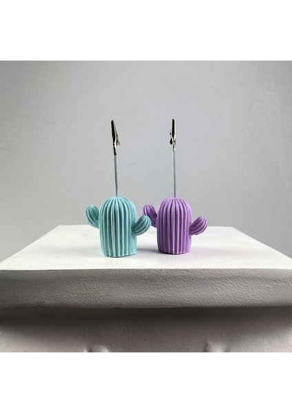 Nane Lila Kaktüs Not Tutucu 2'li Set