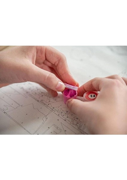 Sayılarla Boyama Seti Lotus Çiçeği 40X50 cm Kasnaklı Tablo Seti Fırça Boya Dahil 40X50 modelleri