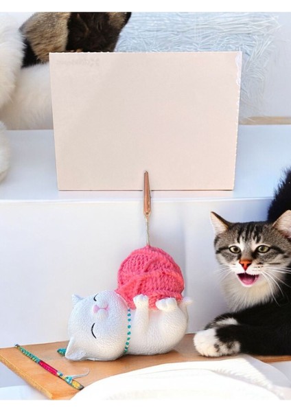 Tatlı Pembe Kawaii Yumaklı Kedi Fotoğraf Not Tutacak Ofis Masası Not Tutacağı