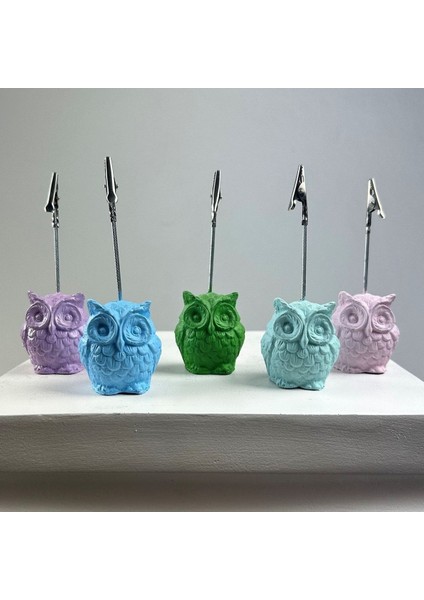 Baykuş Not Tutucu 5'li Set (Açık Mavi - Nane - Pembe - Yeşil - Lila)