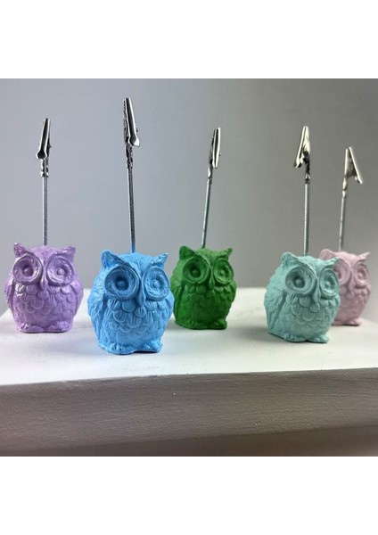 Baykuş Not Tutucu 5'li Set (Açık Mavi - Nane - Pembe - Yeşil - Lila) modelleri