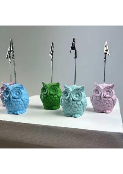 Baykuş Not Tutucu 5'li Set (Açık Mavi - Nane - Pembe - Yeşil - Lila) fırsatları