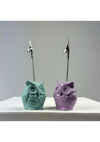 Baykuş Not Tutucu 2'li Set (Nane - Lila )