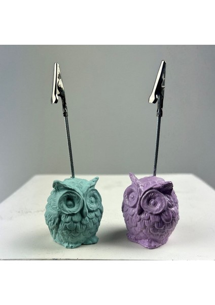 Baykuş Not Tutucu 2'li Set (Nane - Lila ) fiyatları