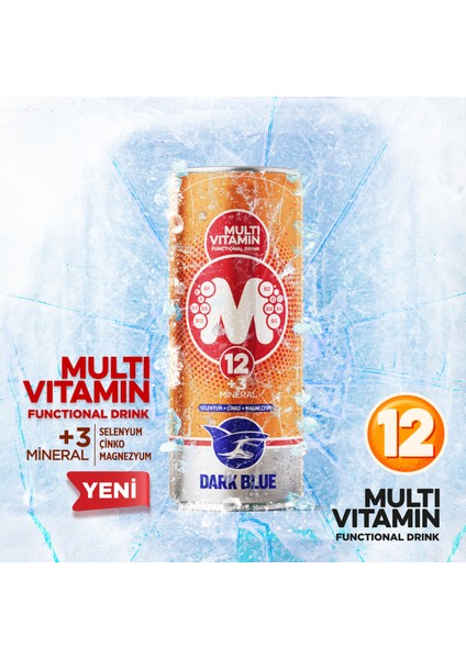 Multivitamin Enerji Içeceği, 250 ml (12 Adet x 250 Ml) indirimleri