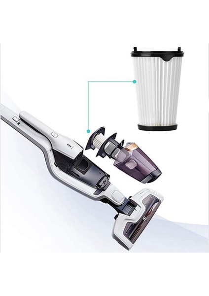 Ergorapido Elektrikli Süpürge Için Cx7 Filtresi, Hepa Değişimi Tüm Cx7-2 ve Qx8 Modelleri Numarası AEF150 (Yurt Dışından) fırsatları