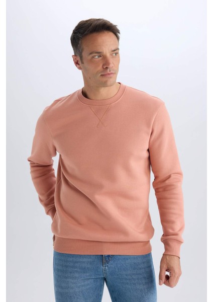 Regular Fit Bisiklet Yaka Kalın Basic Düz Sweatshirt T3777AZ25SP