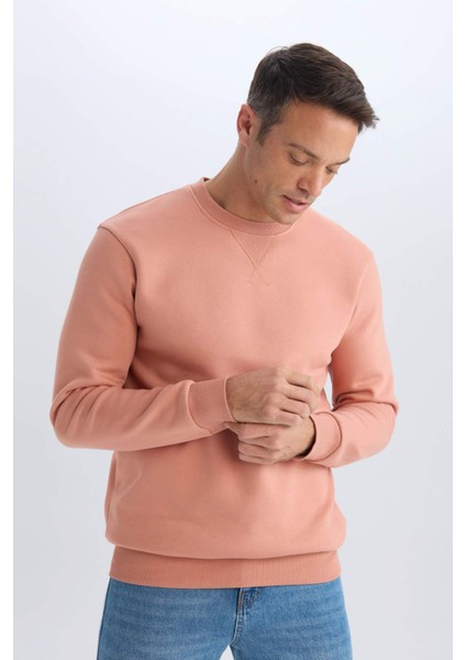 Regular Fit Bisiklet Yaka Kalın Basic Düz Sweatshirt T3777AZ25SP