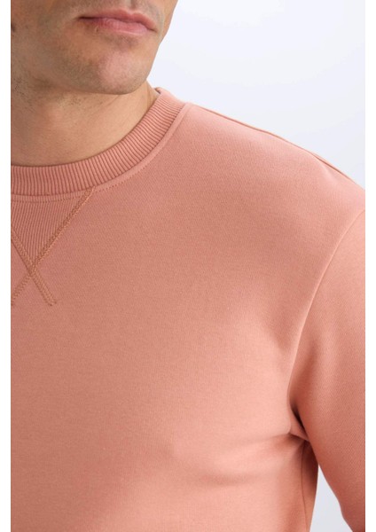Regular Fit Bisiklet Yaka Kalın Basic Düz Sweatshirt T3777AZ25SP