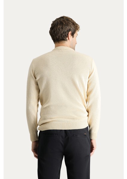 Bisiklet Yaka Slim Fit Dar Kesim Yünlü Desenli Triko Kazak modelleri