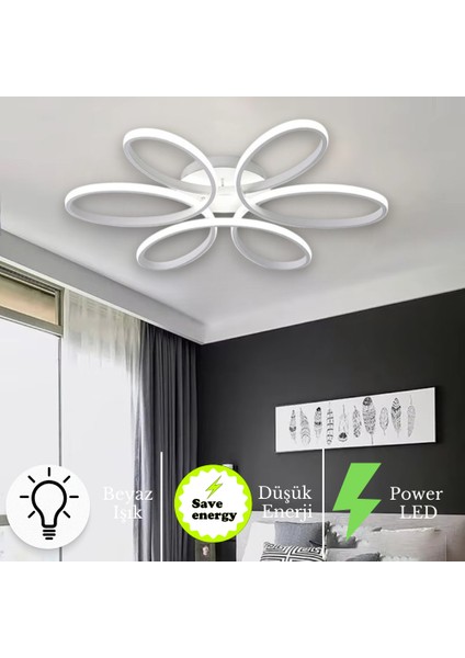 Nipul Modern Plafonyer Tavana Sıfır Beyaz Işık Salon Mutfak Yatak Odası LED Avize