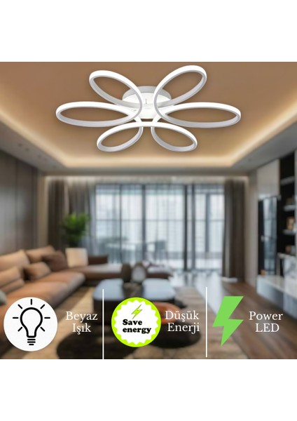 Nipul Modern Plafonyer Tavana Sıfır Beyaz Işık Salon Mutfak Yatak Odası LED Avize
