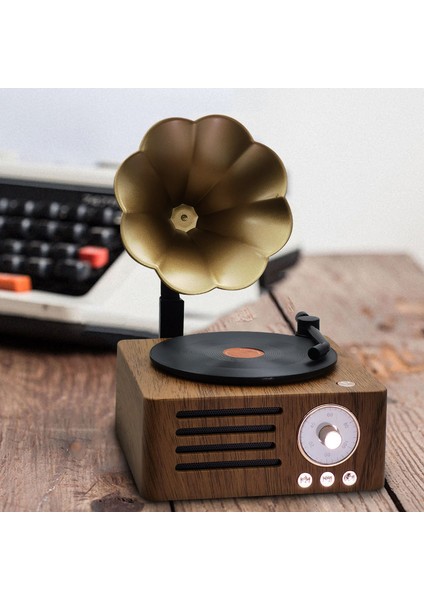 Retro Bluetooth Ses Gramofon Masa Dekorasyonu (Yurt Dışından)