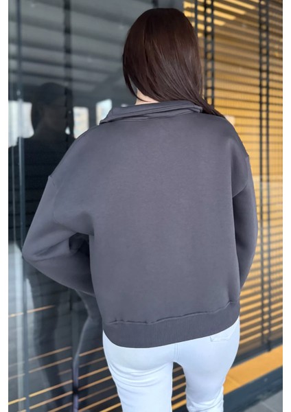 Dik Yaka Yarım Fermuarlı Şardonlu Kadın Sweatshirt fırsatları