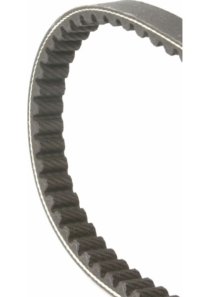 Varyatör Kayışı 835mm (6113027) / MALOSSI modelleri