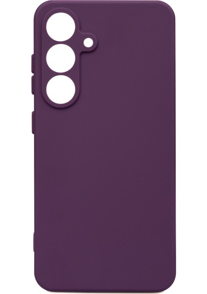 Samsung Galaxy S25 Kılıf Biye Silikon + Ekran Koruyucu