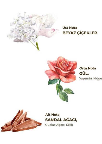 Kolonya Pet Şişe Sprey 150ML Hatıralar fiyatları